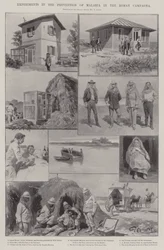 Esperimenti nella prevenzione della malaria nella campagna romana